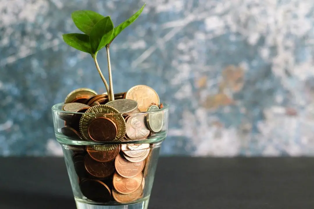Cómo curarse de la escasez de dinero: mi mantra personal ...